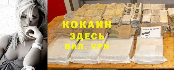 соль курить ск Новодвинск