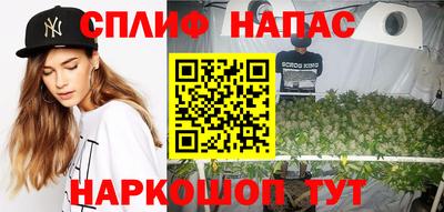 крисы Донской