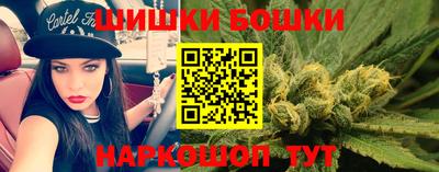 крисы Донской