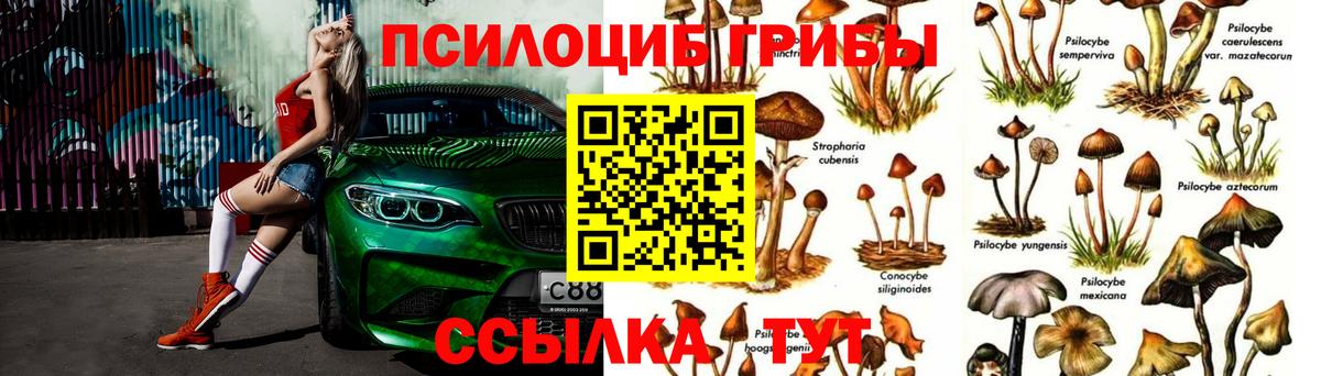Сафоново  что такое наркотик  Вход с VPN  Псилоцибиновые грибы мухоморы 
